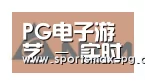 PG棋牌合作伙伴六