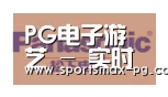 PG棋牌合作伙伴四