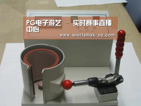 PG棋牌案例展示六(图1)