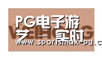 PG棋牌合作伙伴三