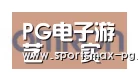 PG棋牌合作伙伴五
