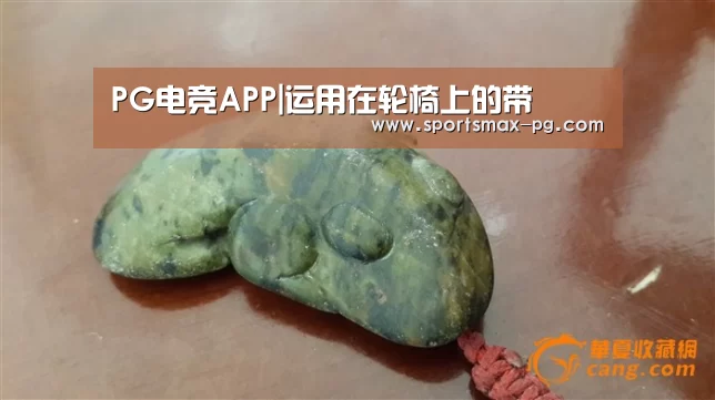 PG电竞APP|运用在轮椅上的带(图1) PG棋牌